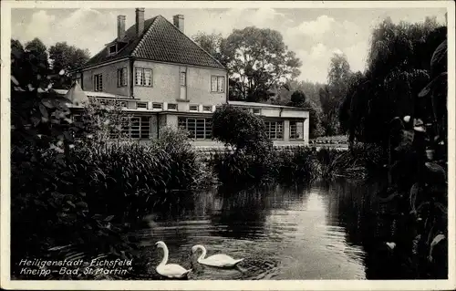 Ak Heilbad Heiligenstadt Eichsfeld Thüringen, St. Martin, Schwäne