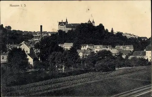 Ak Nossen in Sachsen, Ort mit Schloss