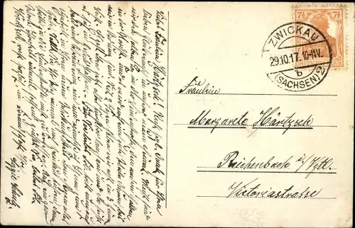 Ak Zwickau in Sachsen, Paradiesbrücke