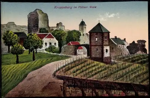 Ak Sankt Martin in der Pfalz, Kropsburg, Kroppsburg, Weinberg