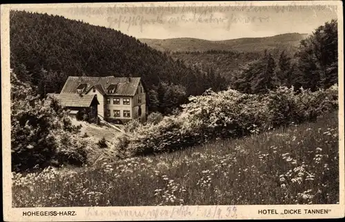 Ak Hohegeiß Braunlage im Oberharz, Hotel Dicke Tannen
