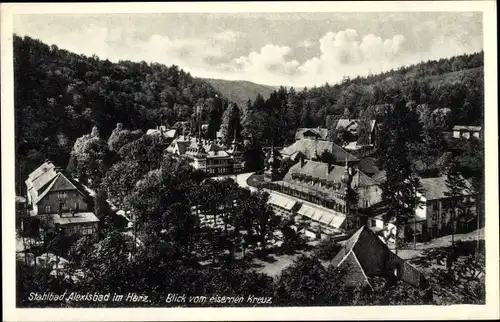 Ak Alexisbad Harzgerode am Harz, Blick vom eisernen Kreuz