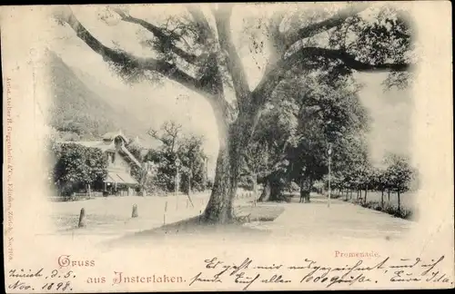 Ak Interlaken Kanton Bern Schweiz, Promenade