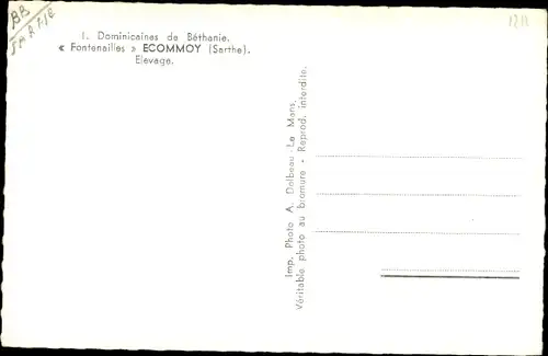 Ak Écommoy Sarthe, Fontenailles Ecommoy, Elevage