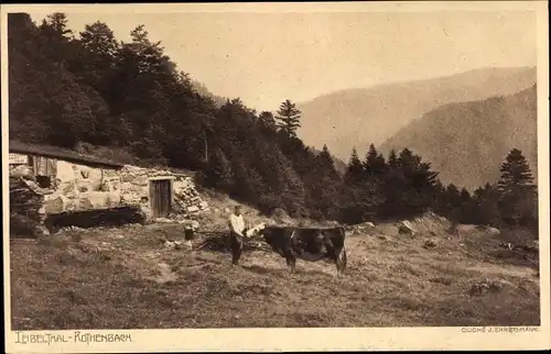 Ak Leibeltal Elsass Haut Rhin, Rothenbach, Hütte, Bauer mit Kuh