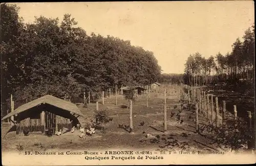 Ak Arbonne Seine et Marne, Domaine de Corne Biche, Quelques Parquets de Poules