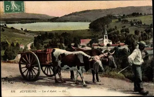 Ak Aydat Puy de Dôme, Lac d'Aydat, Rinderfuhrwerk