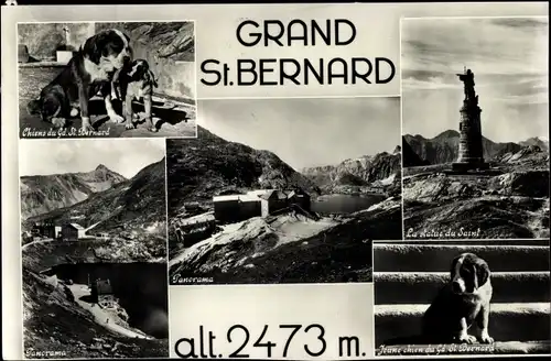 Ak St Bernard Sankt Bernhard Kanton Wallis, Panorama, Bernhardiner