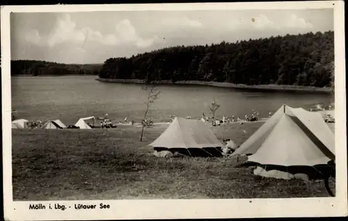 Ak Mölln im Herzogtum Lauenburg, Zeltplatz am Lütauer See