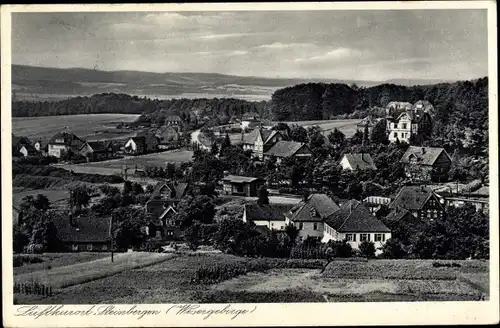 Ak Steinbergen Rinteln an der Weser, Teilansicht mit Berghotel