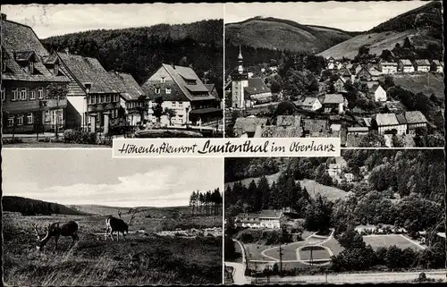 Ak Lautenthal Langelsheim im Oberharz, Panorama vom Ort, Häuser, Hirsche