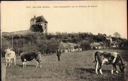 Ak Ballon Sarthe, Coin Champetre sur le Chateau de Ballon