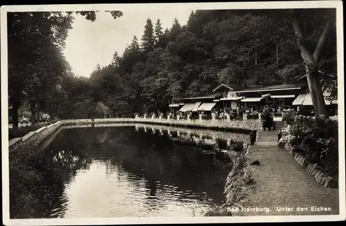 Ak Bad Harzburg am Harz, Unter den Eichen, Gasthaus, Teich