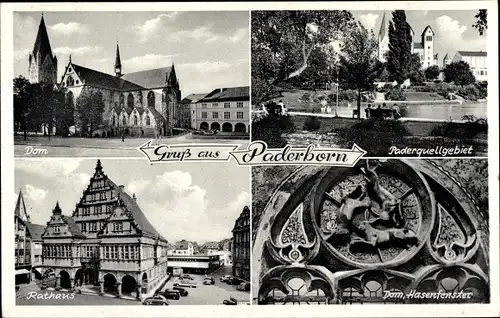 Ak Paderborn in Westfalen, Dom, Hasenfenster, Rathaus, Paderquellgebiet