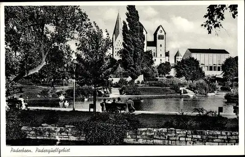 Ak Paderborn in Westfalen, Paderquellgebiet