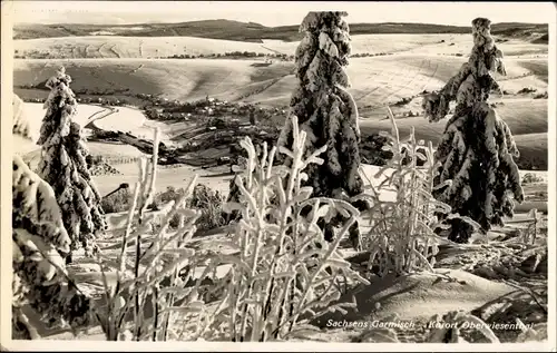 Ak Oberwiesenthal im Erzgebirge, Winterpanorama, verschneite Bäume