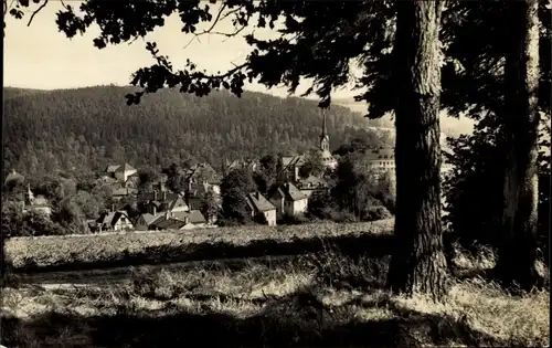 Ak Bad Elster im Vogtland, Teilansicht, Panorama