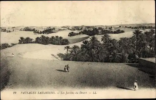 Ak Paysages Sahariens, Les Jardins au Desert