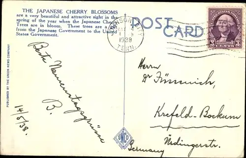 Ak Washington DC USA, Cherry Blossom time at Potomac Park