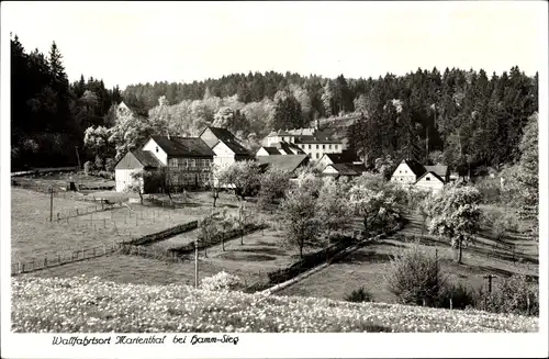 Ak Marienthal Seelbach bei Hamm an der Sieg, Pension Haus Elisabeth