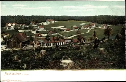 Ak Hahnenklee Bockswiese Goslar im Harz, Panorama