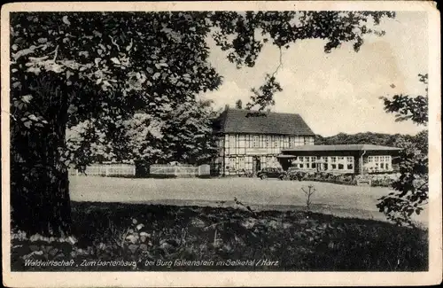 Ak Pansfelde Falkenstein im Harz, Burg Falkenstein, Waldwirtschaft "Zum Gartenhaus"