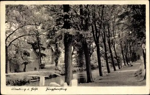 Ak Oldenburg in Holstein, Jungfernstieg