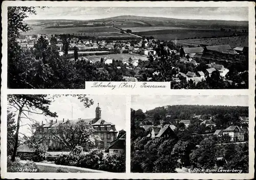 Ak Liebenburg am Harz, Gesamtansicht, Schloss, Lewerberg