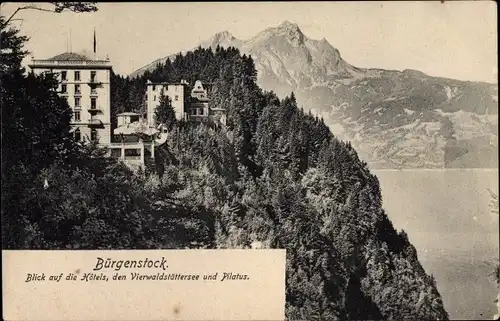 Ak Bürgenstock Kanton Nidwalden, Hotels, Vierwaldstättersee, Pilatus
