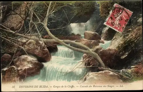 Ak Blida Algerien, Gorges de la Chiffa, Cascade du Ruisseau des Singes