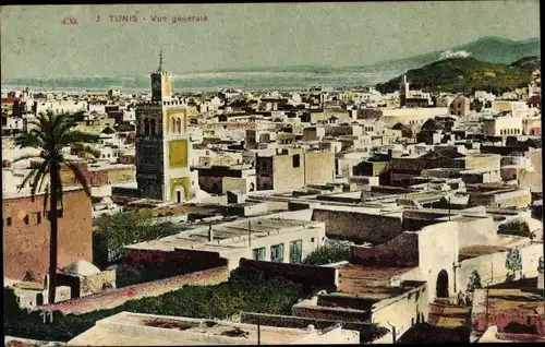 Ak Tunis Tunesien, Gesamtansicht
