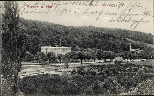 Ak Seesen am Harz, Kurhotel