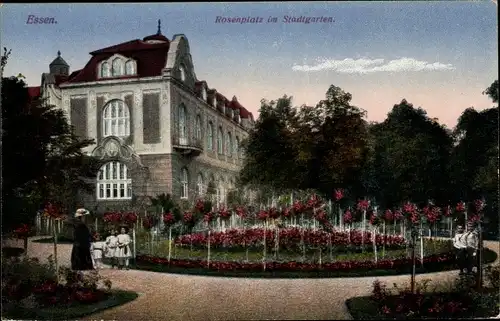 Ak Essen im Ruhrgebiet, Rosenplatz im Stadtgarten