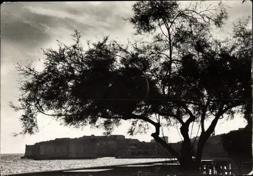Ak Dubrovnik Kroatien, Ortsansicht, Ufer, Baum, Häuser im Hintergrund