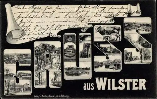 Buchstaben Ak Wilster in Holstein, Gruß, Ortsansichten, Kuh