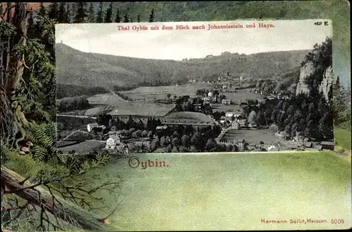 Passepartout Ak Oybin in Sachsen, Tal mit Blick nach Johannisstein und Hayn, Wald