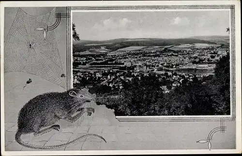 Passepartout Ak Hameln an der Weser Niedersachsen, Gesamtansicht, Ratte