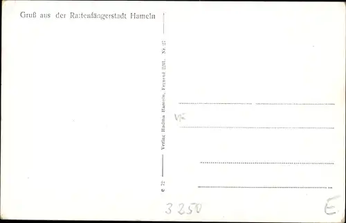 Passepartout Ak Hameln an der Weser Niedersachsen, Gesamtansicht, Ratte