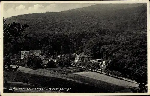 Ak Steinbergen Rinteln an der Weser, Teilansicht