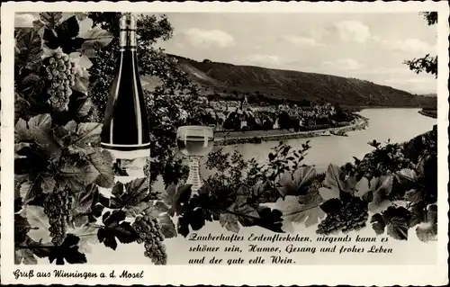 Ak Winningen an der Mosel, Ort mit Umgebung, Wein, Weintrauben