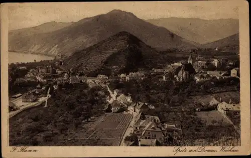 Ak Spitz an der Donau Niederösterreich, Gesamtansicht