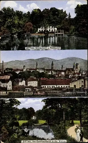 Ak Zittau in der Oberlausitz, Weinauteich u. Restaurant, Am Goldfischteich in der Weinau, Panorama