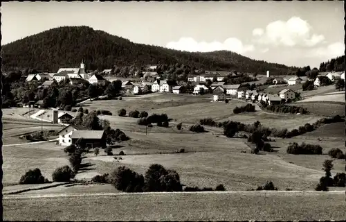 Ak Bischofsmais in Niederbayern, Teilansicht