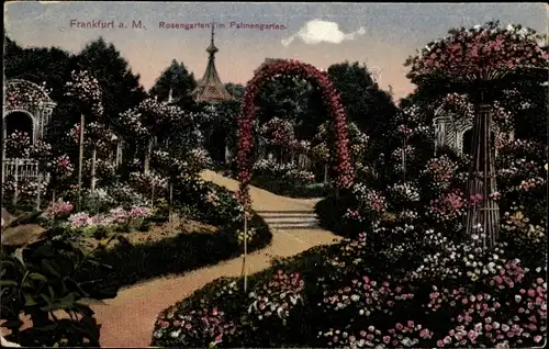 Ak Frankfurt am Main, Rosengarten im Palmengarten