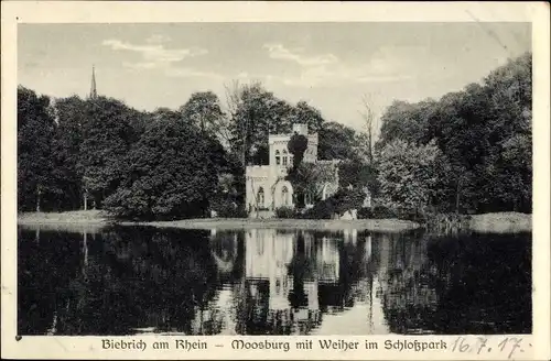 Ak Biebrich am Rhein Wiesbaden in Hessen, Moosburg mit Weiher im Schloßpark