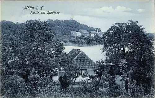 Ak Mölln im Herzogtum Lauenburg, Partie am Stadtsee