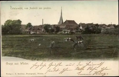 Ak Audeich Grevenkop in Schleswig Holstein, Blick auf den Ort, Rinder