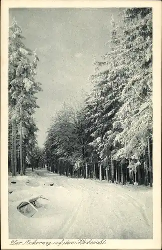 Ak Oybin in der Oberlausitz, Zittauer Gebirge, der Ankorweg auf dem Hochwald, Winter