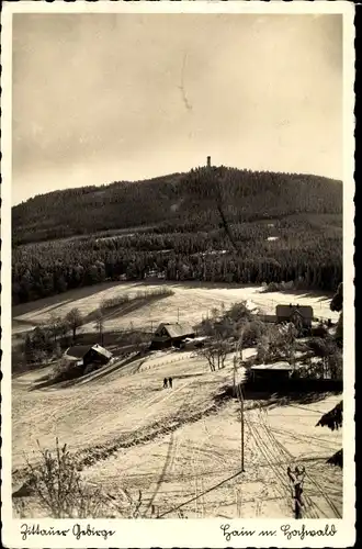Ak Hayn Hain Oybin in der Oberlausitz, Zittauer Gebirge, Winteransicht mit Hochwald