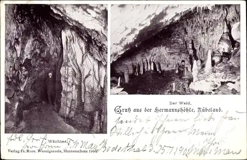 Ak Rübeland Oberharz am Brocken, Hermannshöhle, Wächter, Wald